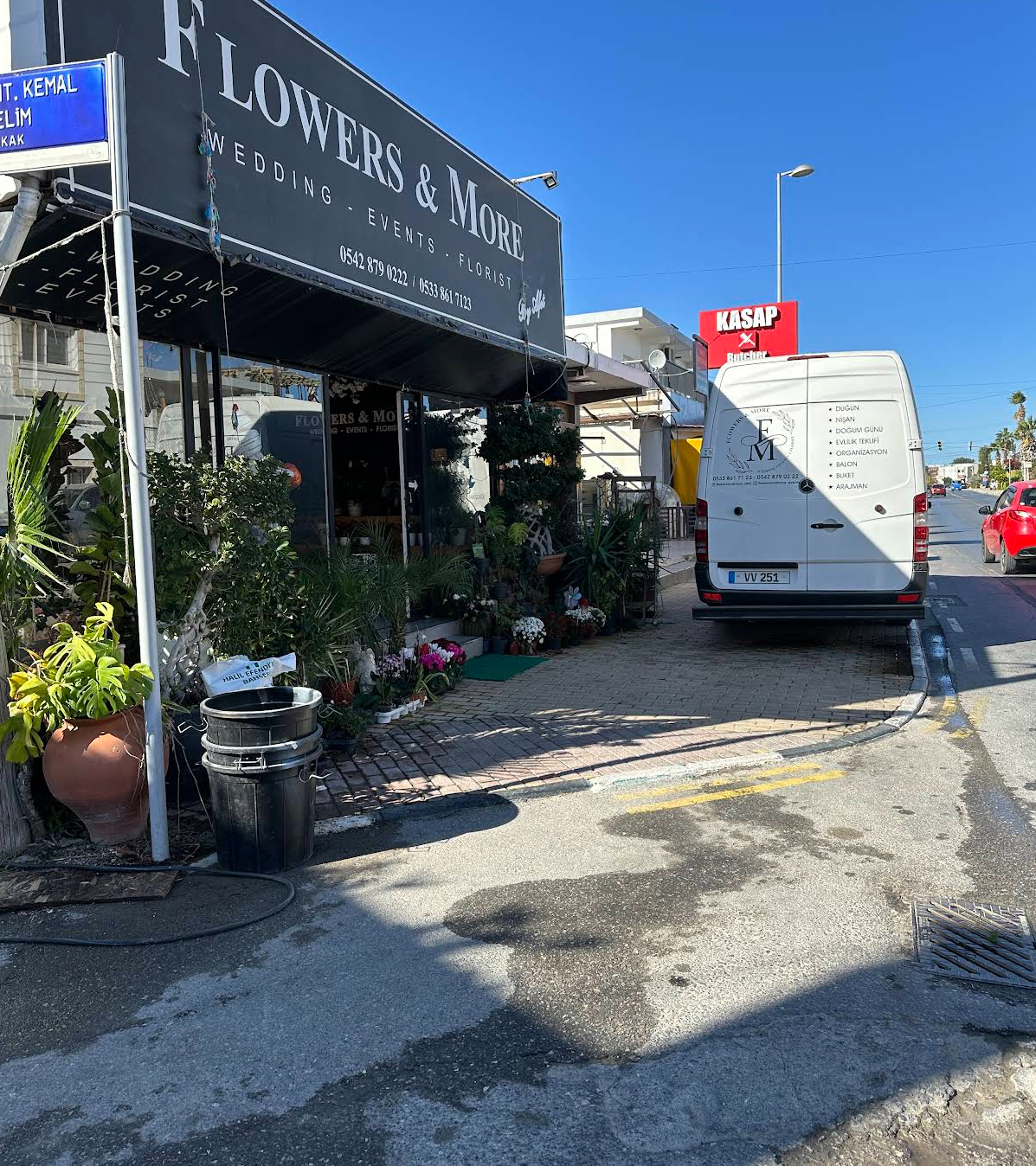 Flowers and More