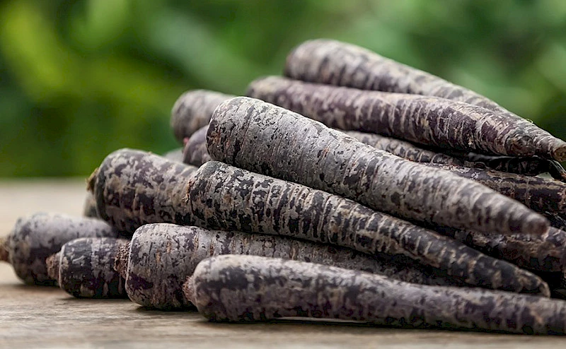 Топ-8 необычных продуктов Северного Кипра