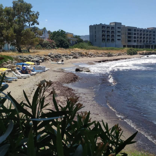 Sardunya beach