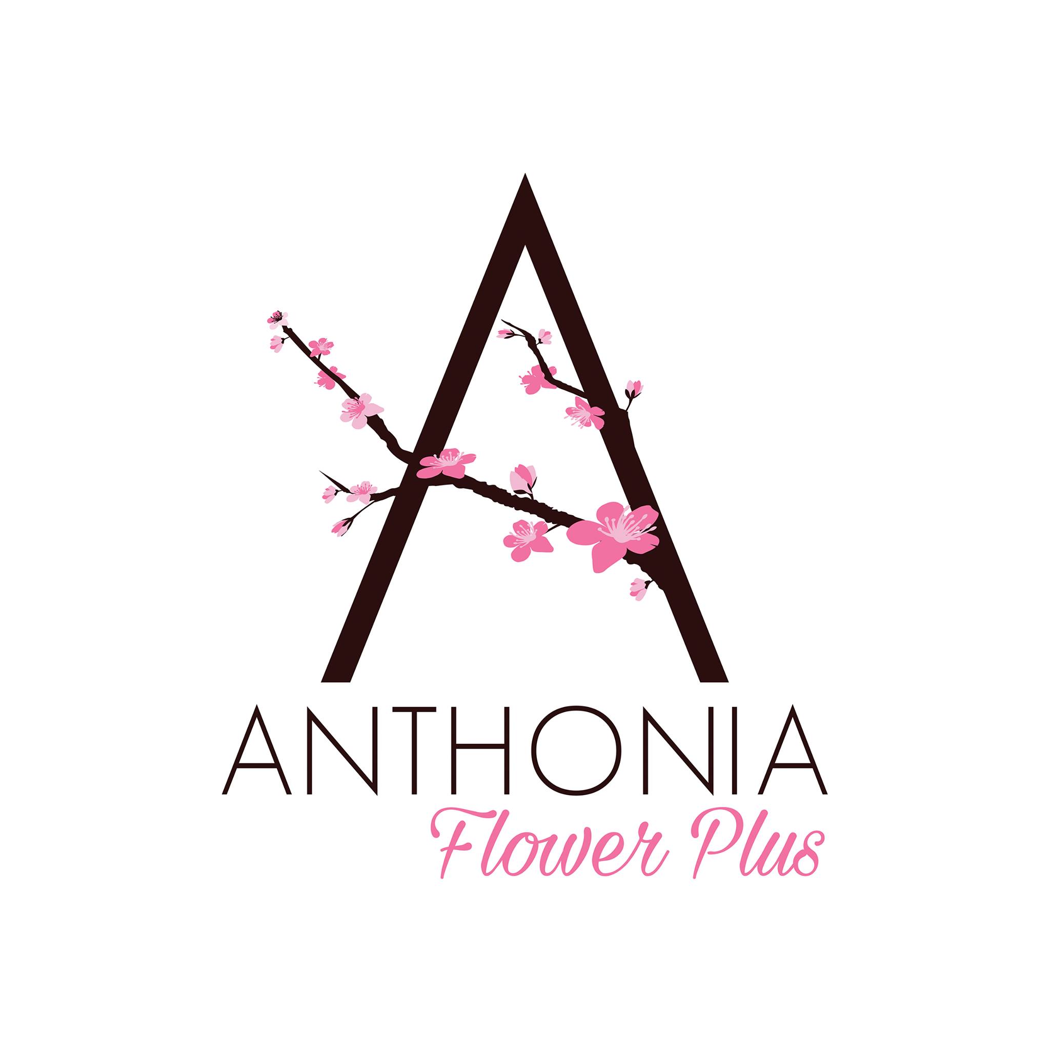 Anthonia Flower Plus
