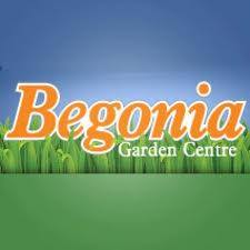 BEGONIA FLORIST