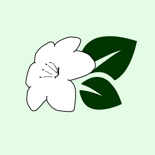 Orniello Flower Boutique