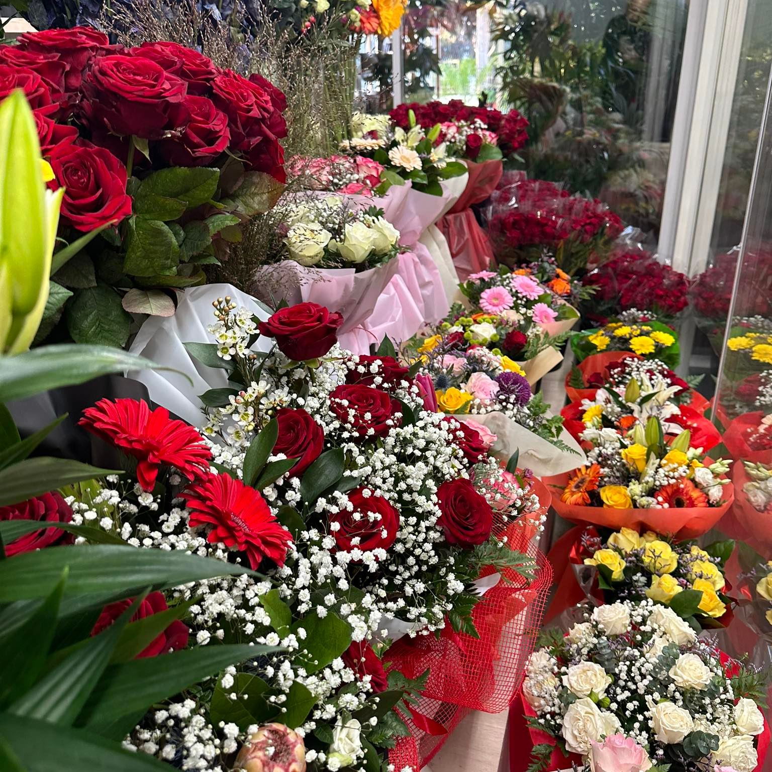 Paradise Garden