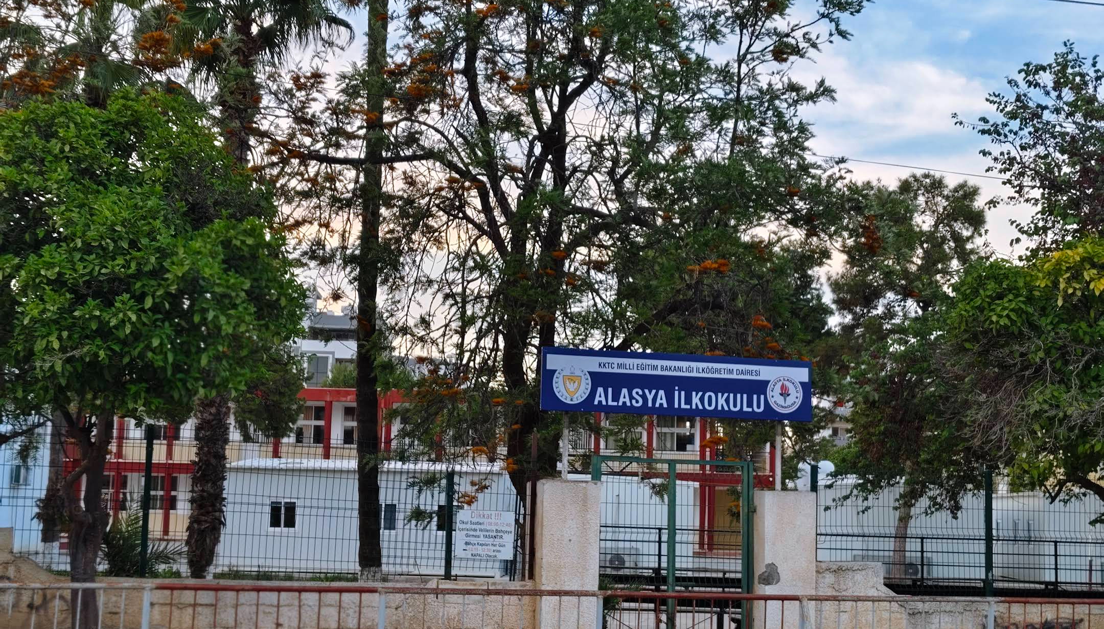 Alasya Primary School