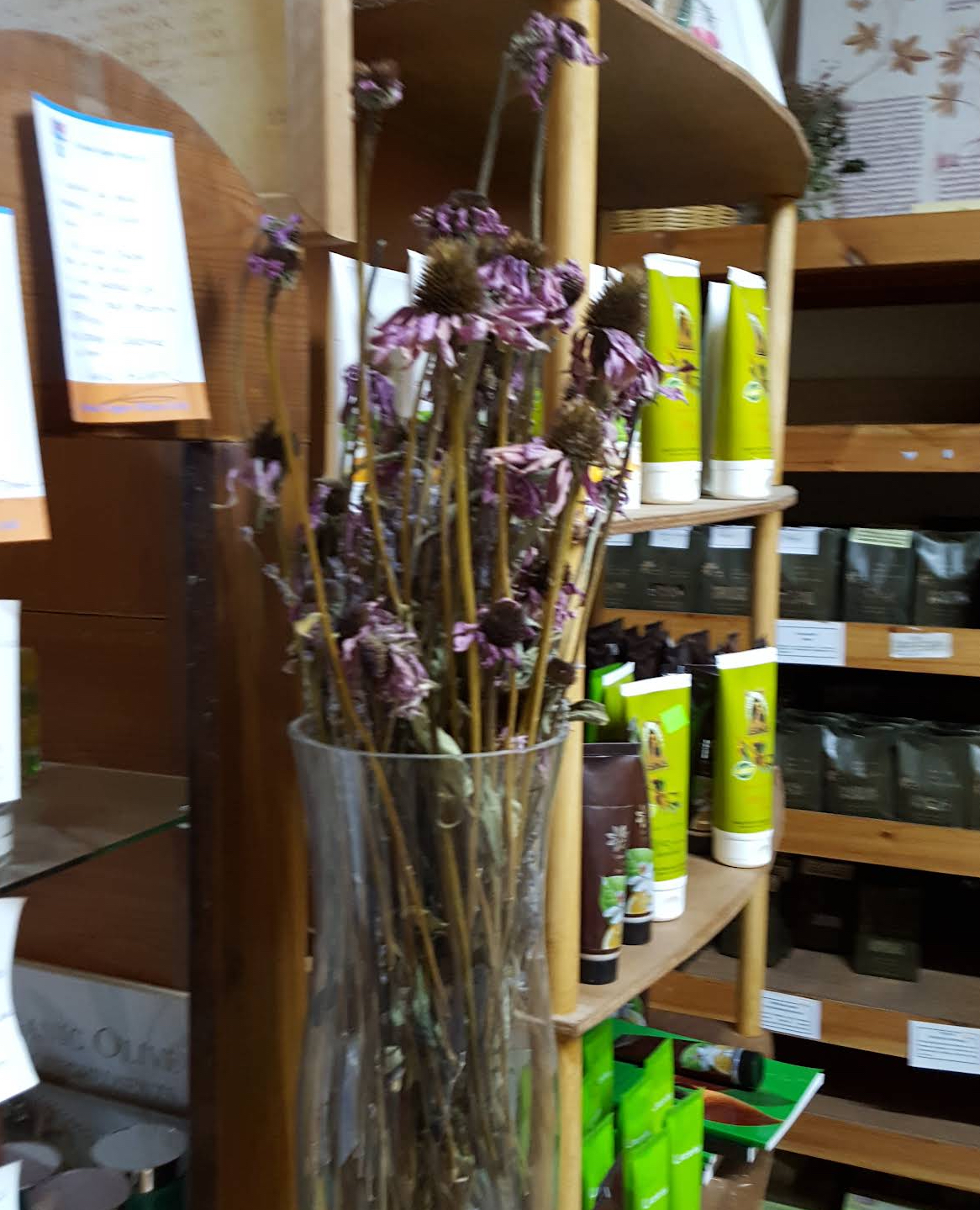 Herbal Workshop Yiannoula Lazarou