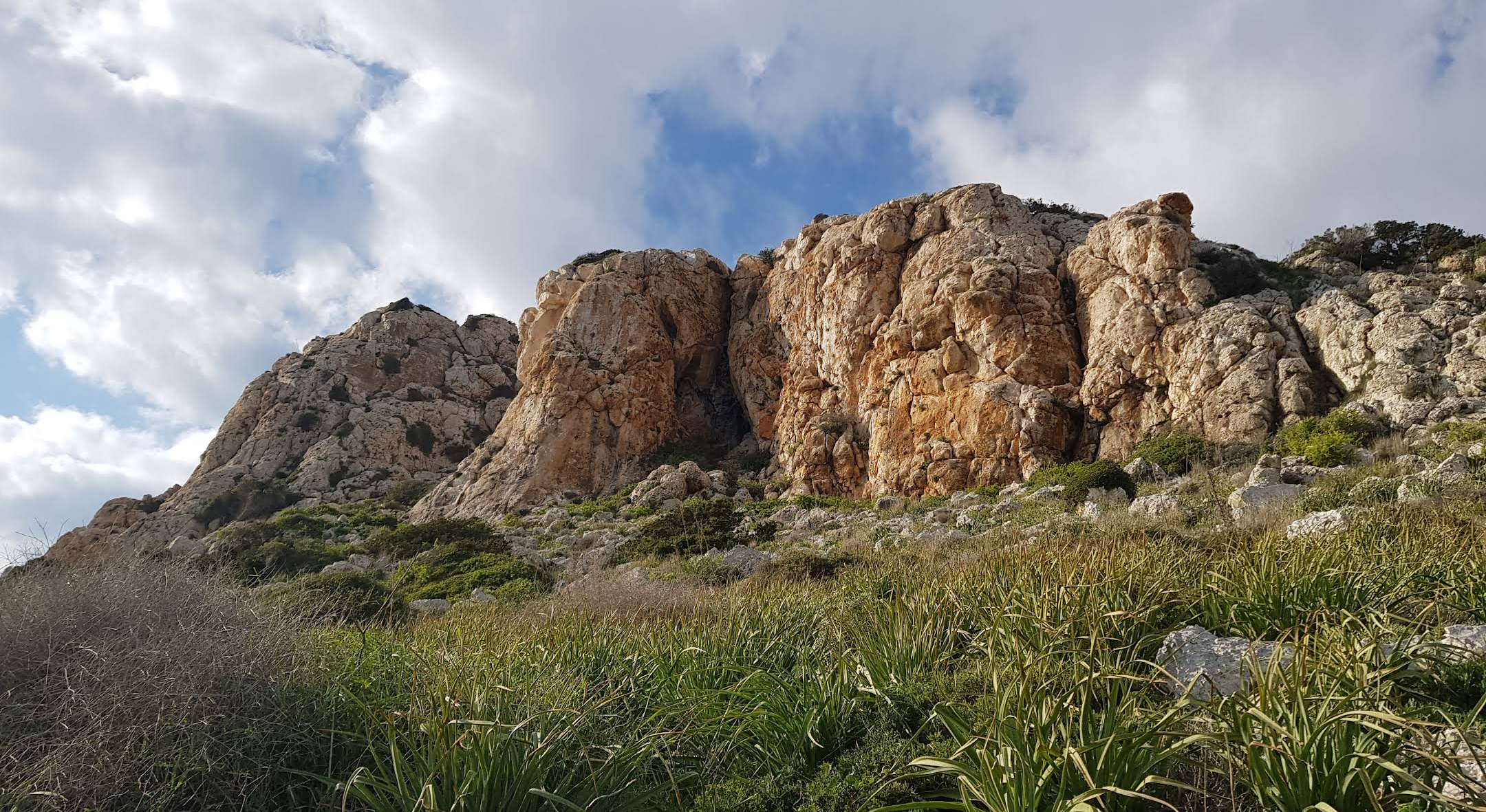 Greco
