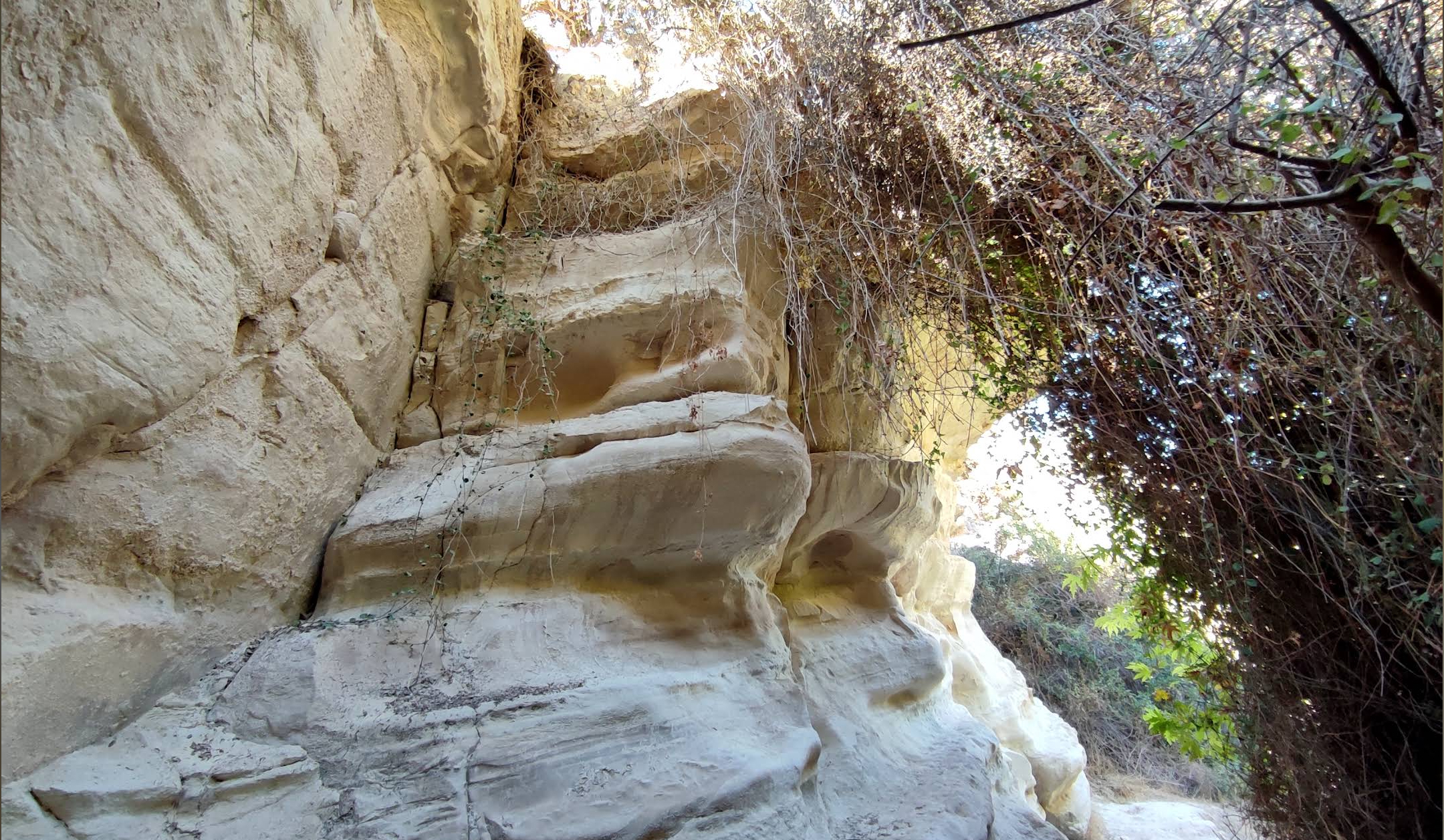 Naturpfad Avakas-Schlucht