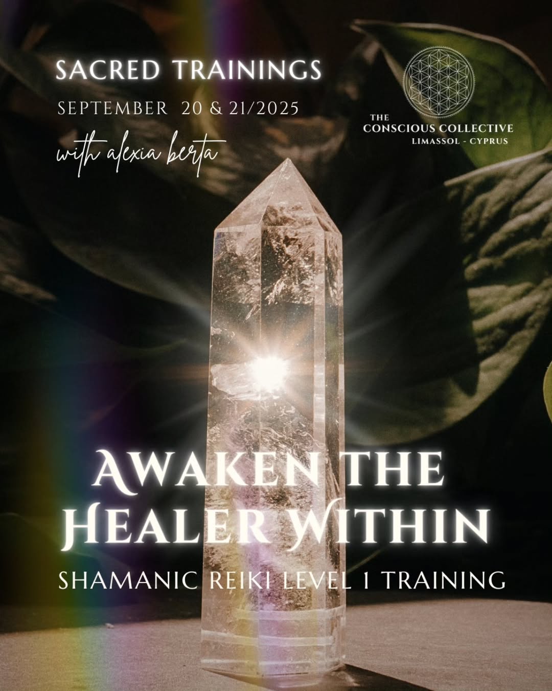 Awaken the Healer within