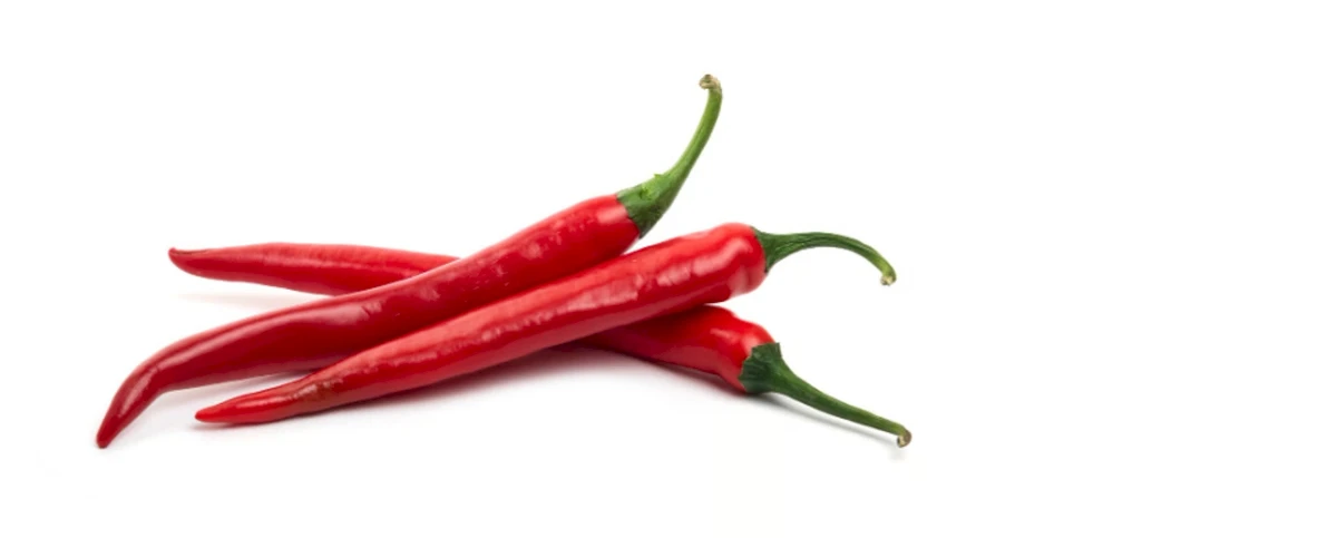 Chilli Festivali 2025