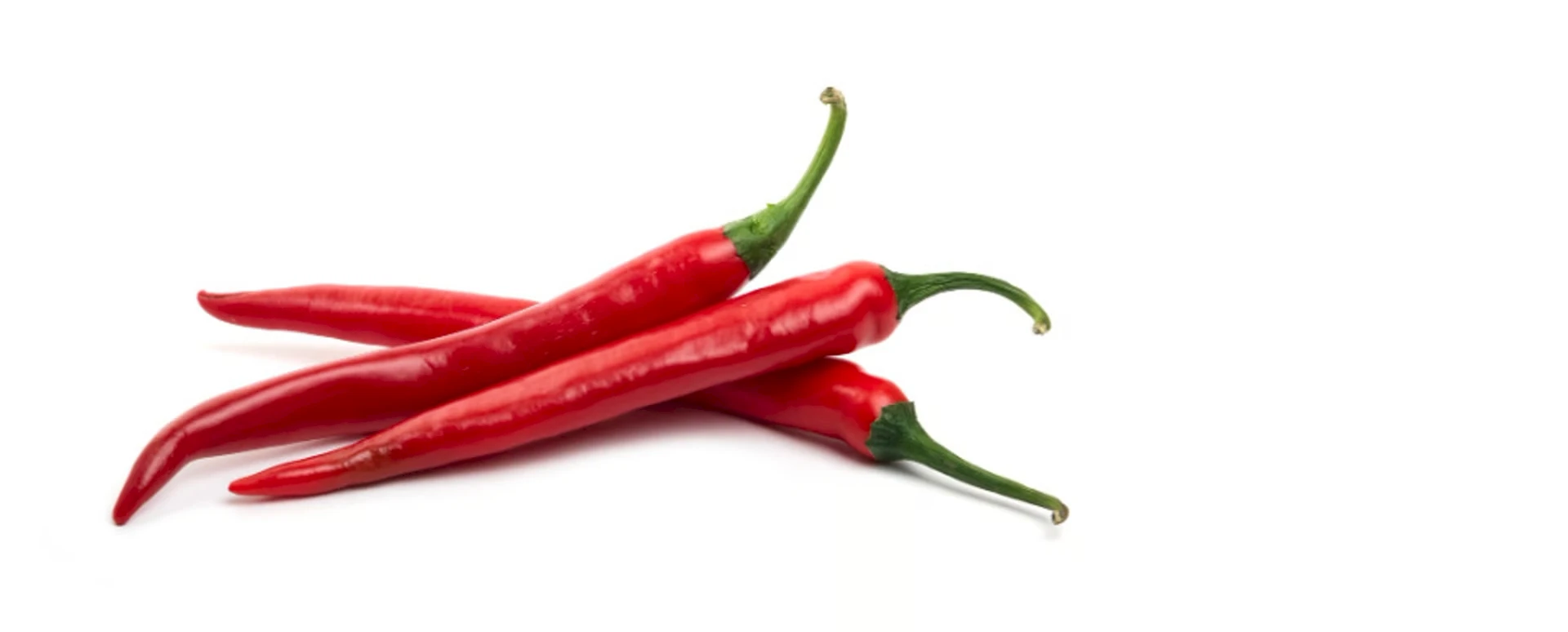 Chilli Festivali 2025