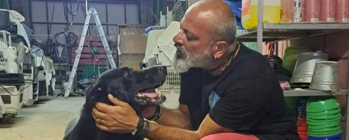 Freiwilligenarbeit in einem Tierheim für Hunde