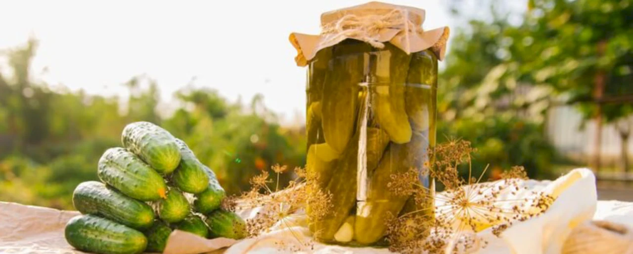 Φεστιβάλ Αγγουριού