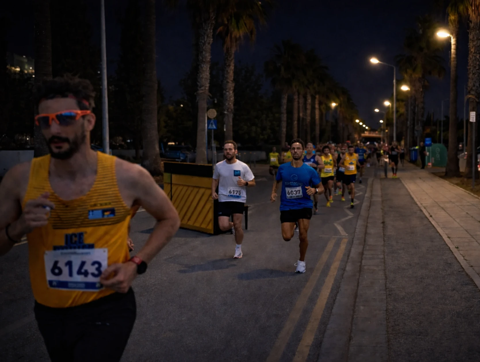 Ay Işığı Altında Koşu