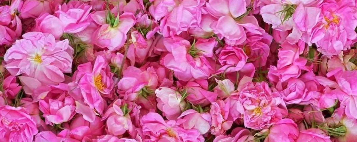 Крупный инвестиционный и финансовый форум