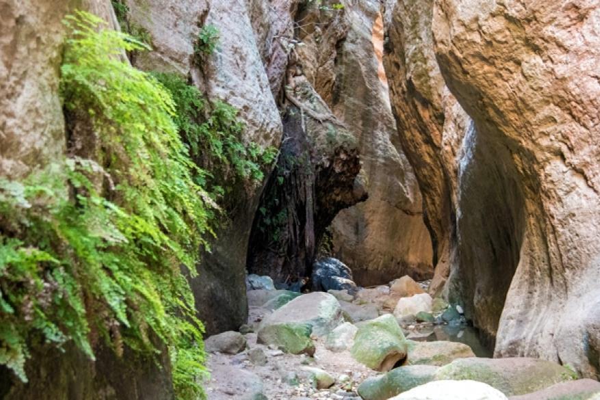 Excursion & Hiking at Avakas Gorge