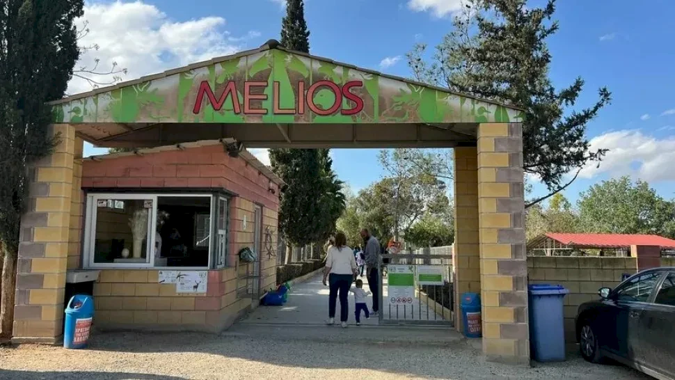 Верховный суд Кипра окончательно подтвердил закрытие Melios Zoo