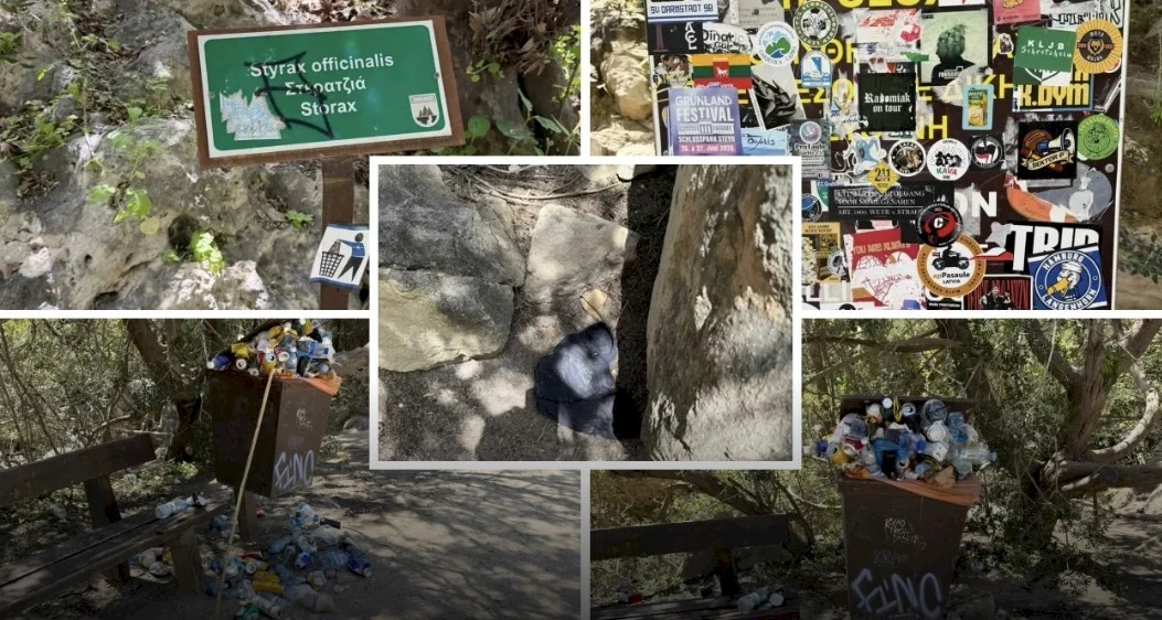 Свалка среди природы: мусор в ущелье Авакас на Кипре