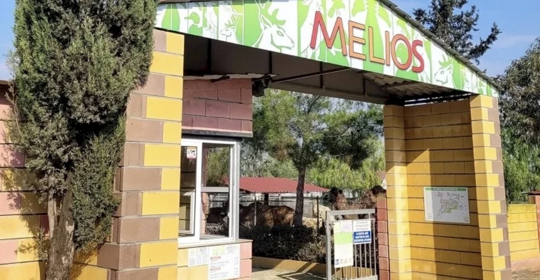 Владелец Melios Zoo обвинил госслужащих Кипра в гибели животных