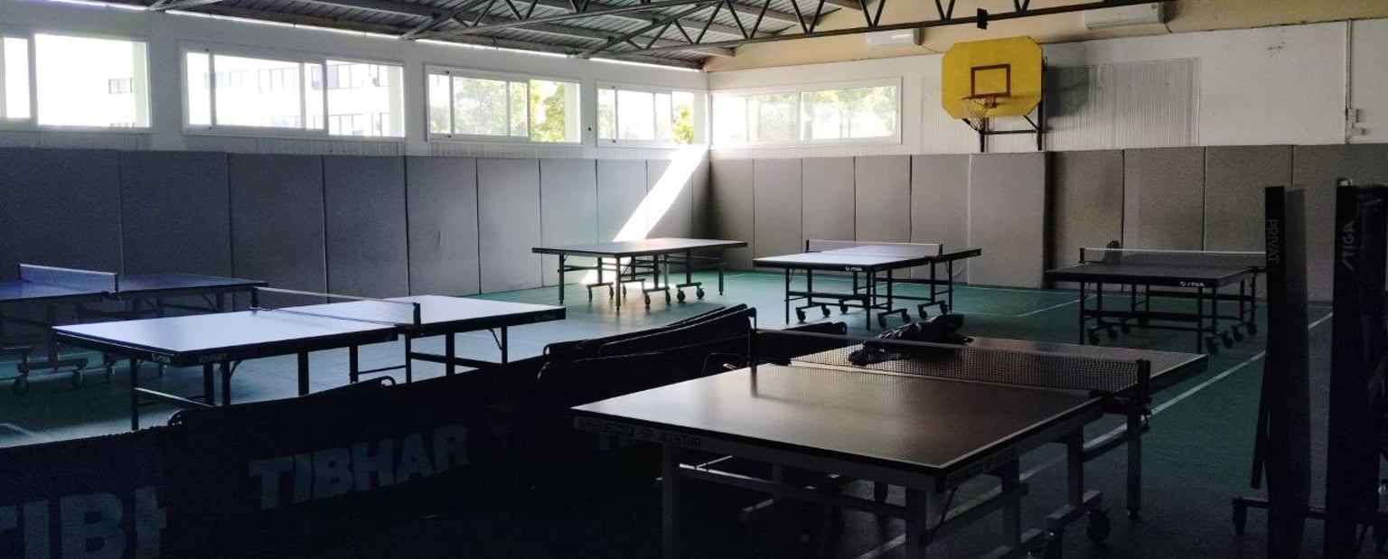 Аматорський турнір з настільного тенісу